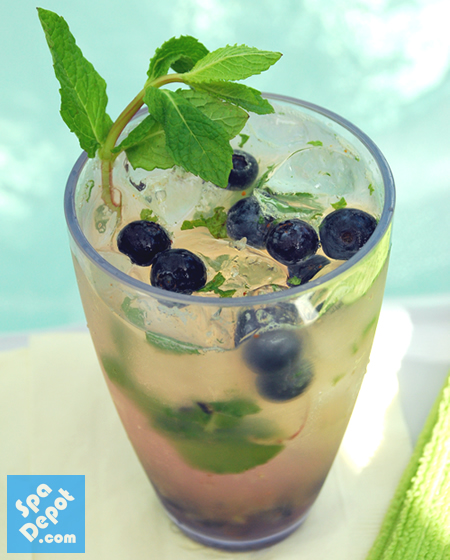 Blueberry Mojito BlueberryMojito