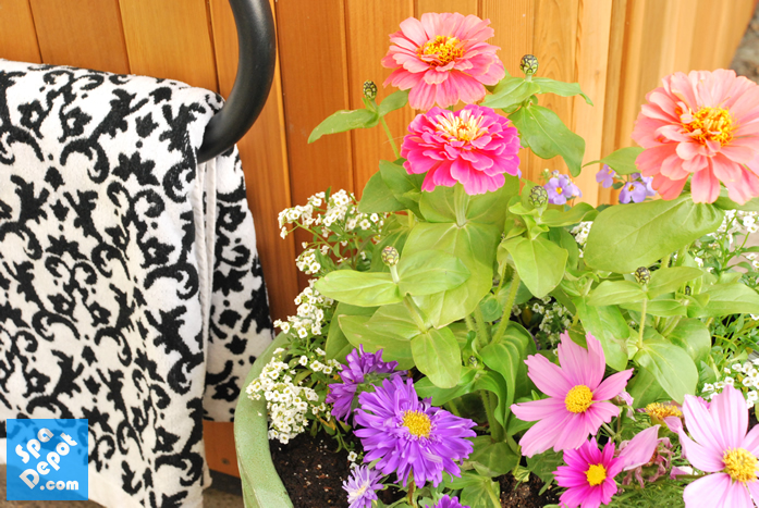 Spring flowers Springflowers