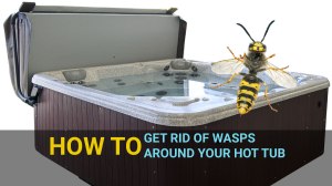 how to get rid of wasps around your hot tub