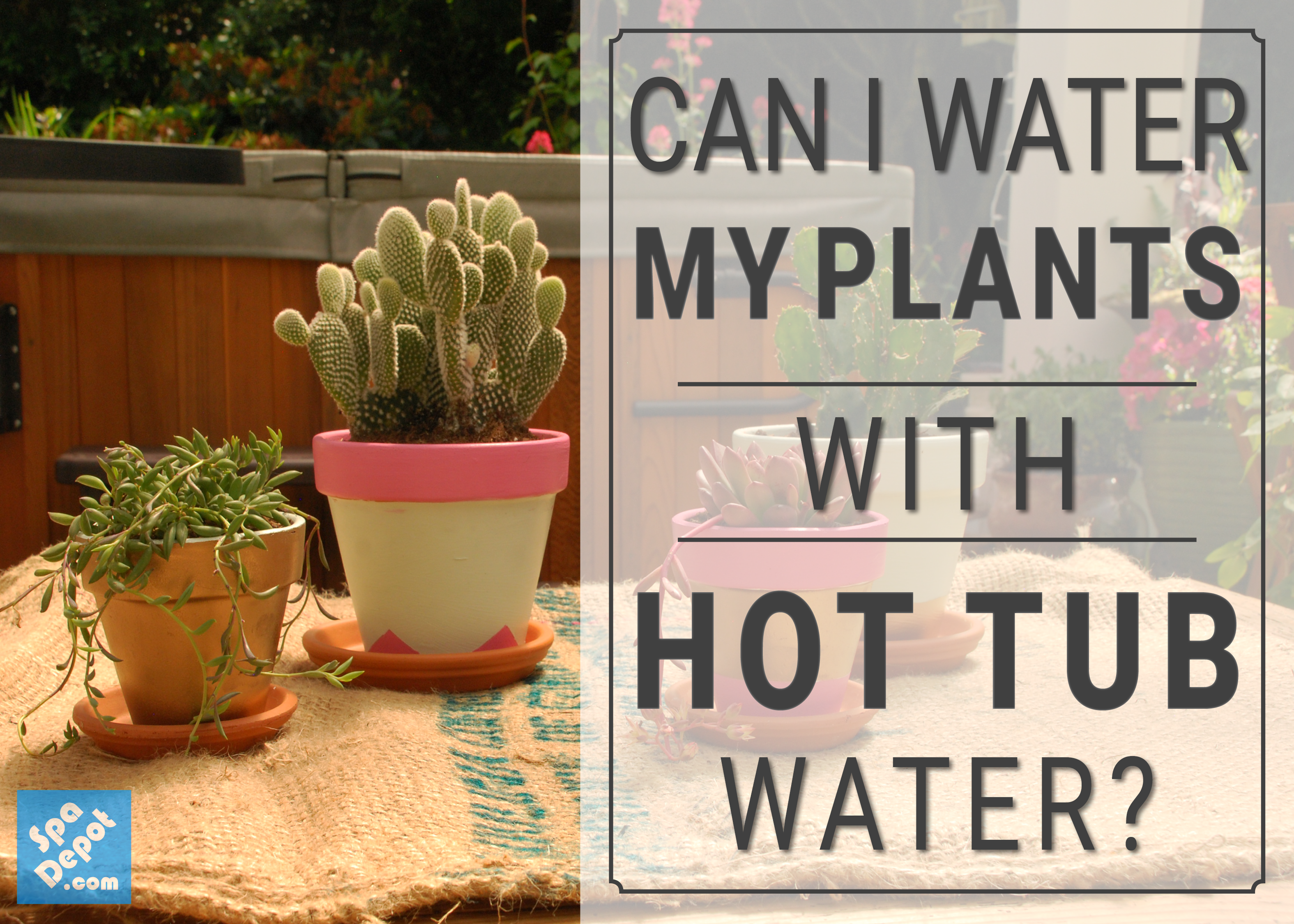 Can I water my plants with Hot Tub Water?