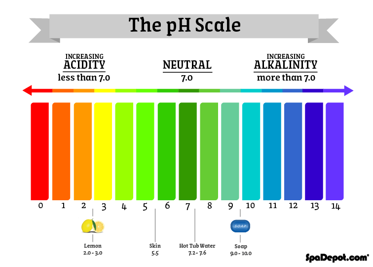 pH scale infographic