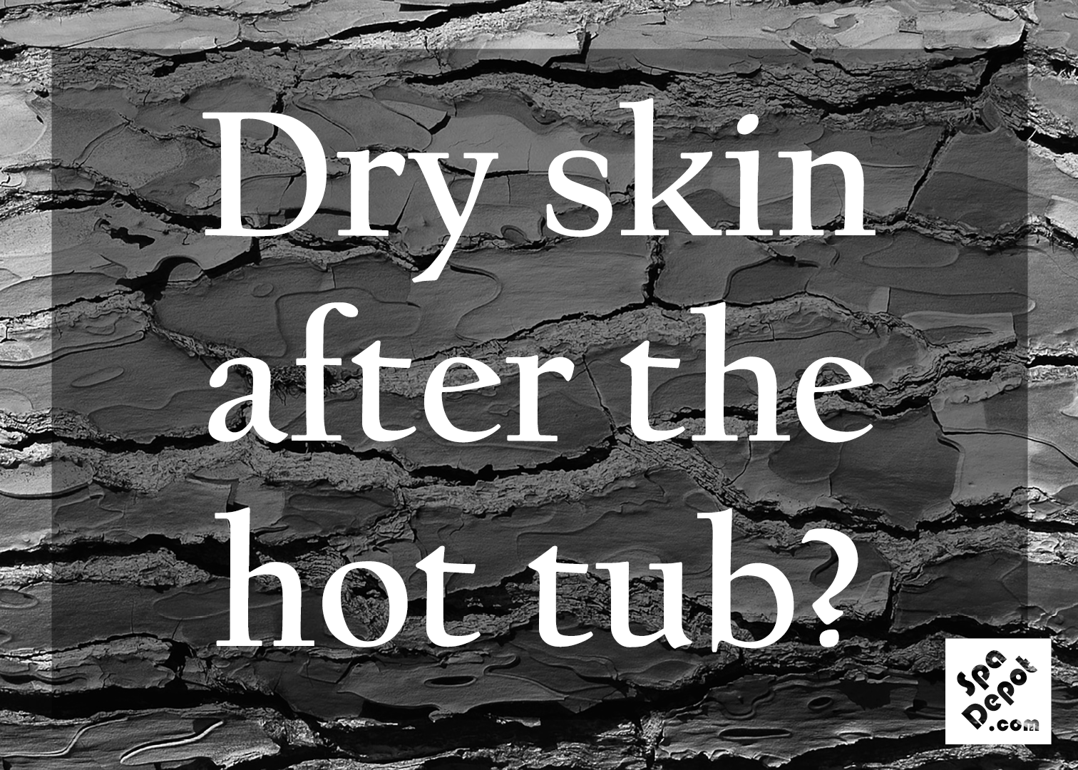 Dry-Skin-WordPress