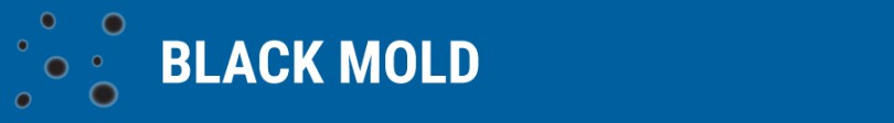 2019-04-22-Black-Mold-Header