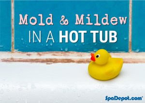 Mold & Mildew in a hot tub