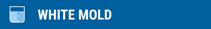 2019-04-22-White-Mold-Header