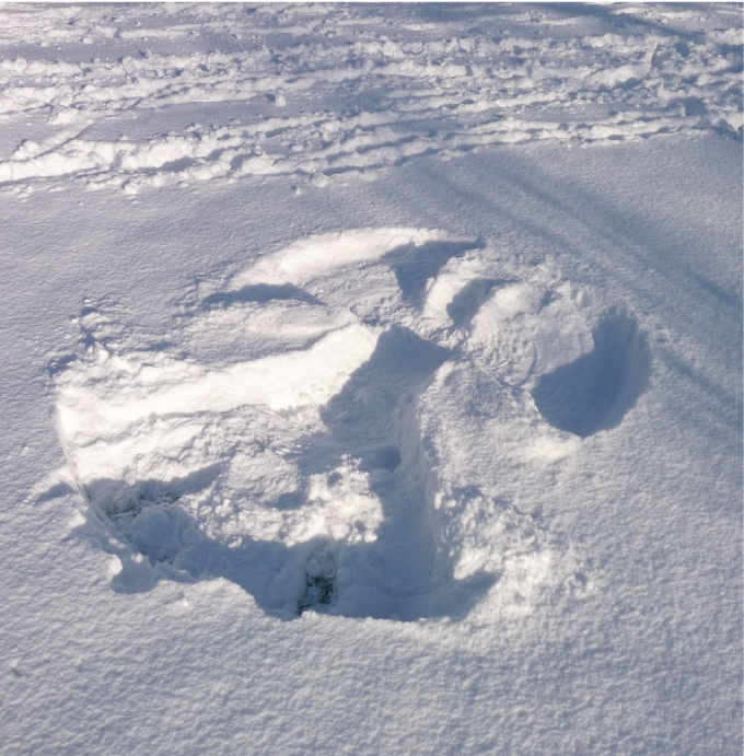 snow angel