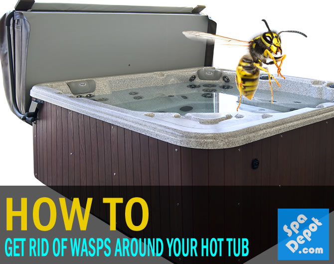 how to get rid of wasps around your hot tub